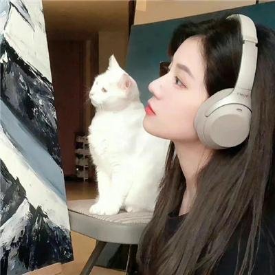 叔比狗露营惊魂记